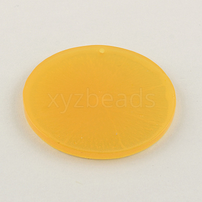 Resin Fruit Pendants X-RESI-R130-02-1