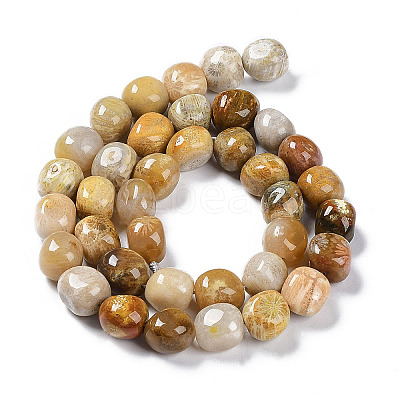 Natural Fossil Coral Beads Strands G-C038-02T-1