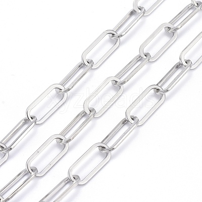 Tarnish Resistant 304 Stainless Steel Paperclip Chains CHS-F011-01A--P-1
