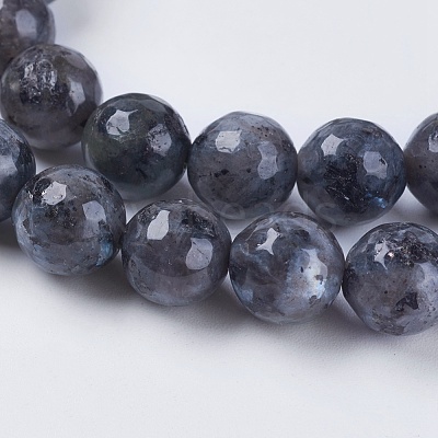 Natural Larvikite Beads Strands G-G542-8mm-27-1