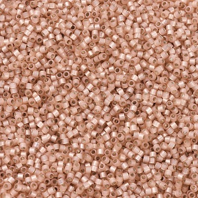 MIYUKI Delica Beads X-SEED-J020-DB0622-1