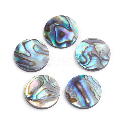 Natural Abalone Shell/Paua Shell Cabochons SSHEL-L017-001-1