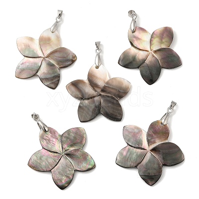 Natural Black Lip Shell Pendants SHEL-M019-03P-1