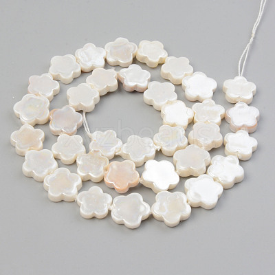 Electroplate Natural Freshwater Shell Beads Strands X-SHEL-T017-08-1