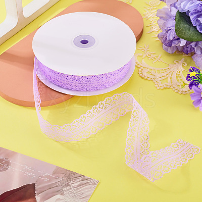Polyester Lace Ribbon OCOR-TAC0025-008D-1