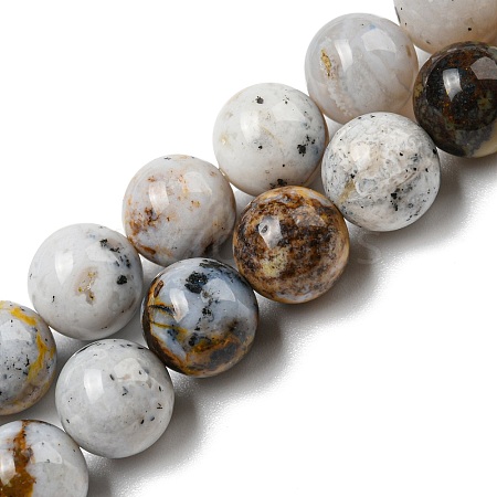 Natural Dendritic Opal Beads Strands G-R494-A16-03-1