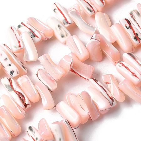 Dyed Natural Trochus Shell Beads Strands SSHEL-C013-09L-1