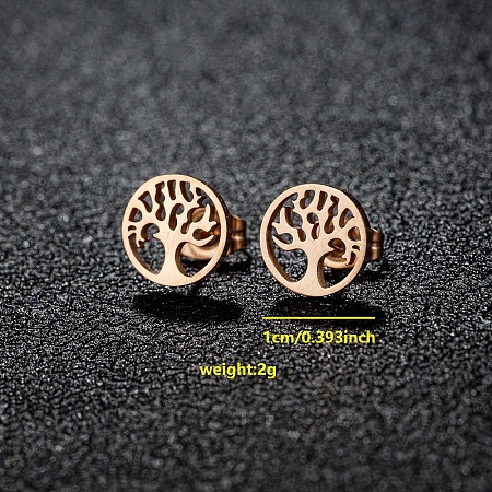 201 Stainless Steel Stud Earrings FS-WGB18B1-27-1
