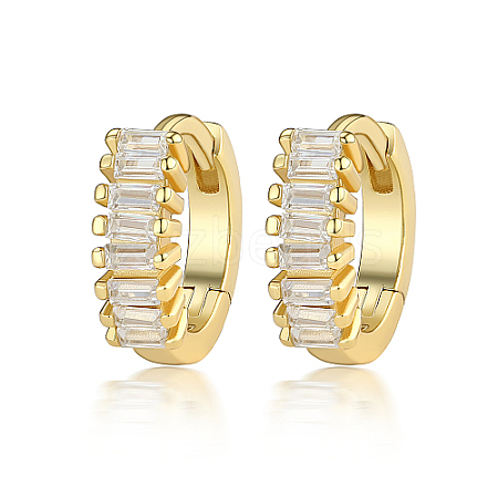 Cubic Zirconia Hoop Earrings DI7487-05-1