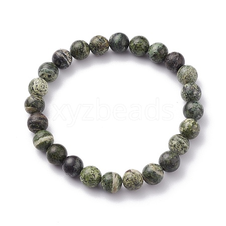 Natural Green Zebra Jasper Beaded Bracelets BJEW-JB06470-1