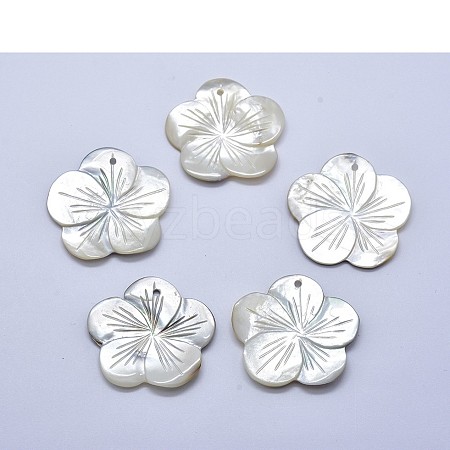 Shell Pendants SSHEL-P015-39-1