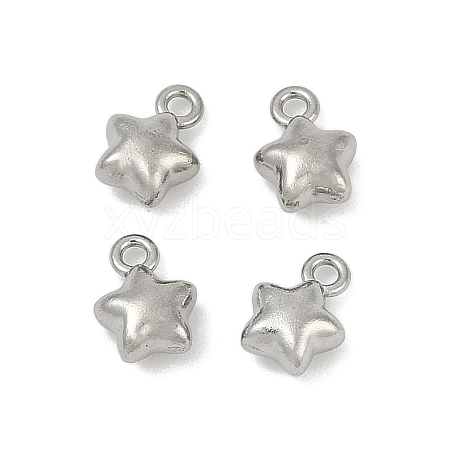 304 Stainless Steel Charms STAS-E500-04P-1