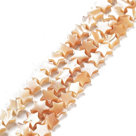 Star Natural White Shell Beads Strands BSHE-Q025-14B-1