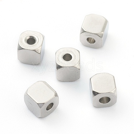 Non-Tarnish 304 Stainless Steel Beads STAS-H160-02C-P-1
