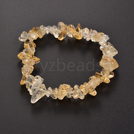 Natural Gemstone Beaded Stretch Bracelets X-BJEW-JB01823-03-1