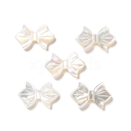 Natural White Shell Beads SSHEL-B002-09-1