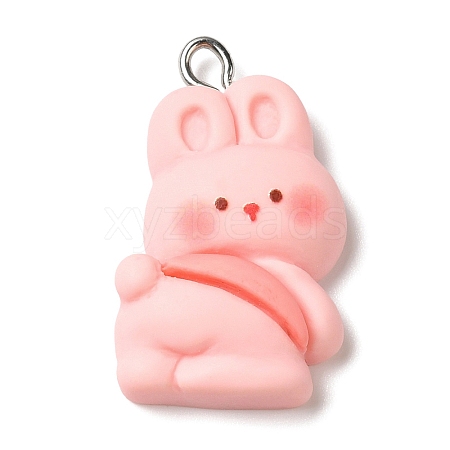 Cute Pet Opaque Resin Pendants RESI-A023-02A-1