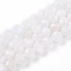 Natural Rainbow Moonstone Beads Strands G-S345-6mm-36-1