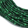 Dyed Synthetic Turquoise Beads Strands G-D356-B02-01-3
