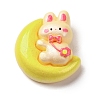 Resin Cabochons X1-CRES-Z010-03M-1