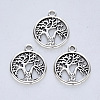 Tibetan Style Alloy Pendants TIBE-R316-111AS-RS-1