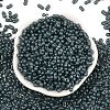 Baking Paint Glass Seed Beads SEED-L011-09A-23-2