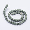 Natural Green Spot Jasper Beads Strands G-F518-26-8mm-2