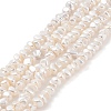 Electroplated Shell Pearl Beads Strands BSHE-C006-03B-1