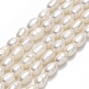 Natural Cultured Freshwater Pearl Beads Strands PEAR-J006-16A-01-1