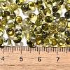 Transparent Baking Paint Glass Seed Beads SEED-P006-02B-03-4