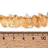 Heated Natural Citrine Beads Strands GG-CBADF20-A10-4