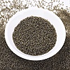 MIYUKI Delica Beads SEED-X0054-DB0384-2