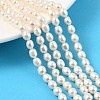 Natural Cultured Freshwater Pearl Beads Strands PEAR-I007-01A-02A-1