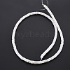 Natural Freshwater Shell Beads Strands SHEL-N027-09-3