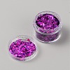 Nail Art Flash Powder and Sequins MRMJ-TAC0011-04G-2