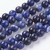 Natural Sodalite Beads Strands G-G448-10mm-25-1