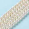Natural Pearl Beads Strands PEAR-E018-65-2