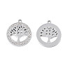 304 Stainless Steel Pendants STAS-N095-157-2