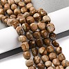 Natural Picture Jasper Beads Strands G-G146-A01-02-2