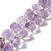 Natural Amethyst Beads Strands G-E578-01-1