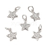 Brass Micro Pave Cubic Zirconia Charms KK-E068-VB247-2