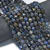 Natural Blue Agate Beads Strands G-K389-A73-01-2