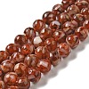 Freshwater Shell Beads Strands BSHE-L039-08B-08-1