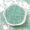 Ceylon Glass Seed Beads SEED-K009-02B-26-2