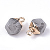 Electroplate Resin Charms RESI-S383-034-2