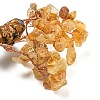 Natural Citrine Chips Money Tree Decorations DJEW-P018-01A-2