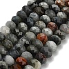 Natural Eagle Eye Stone Beads Strands G-Z111-A11-02-3