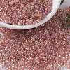 MIYUKI Round Rocailles Beads SEED-X0055-RR0275-1