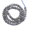 Natural Labradorite Beads Strands G-N328-011A-2