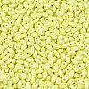 Baking Paint Glass Seed Beads SEED-T006-03D-2